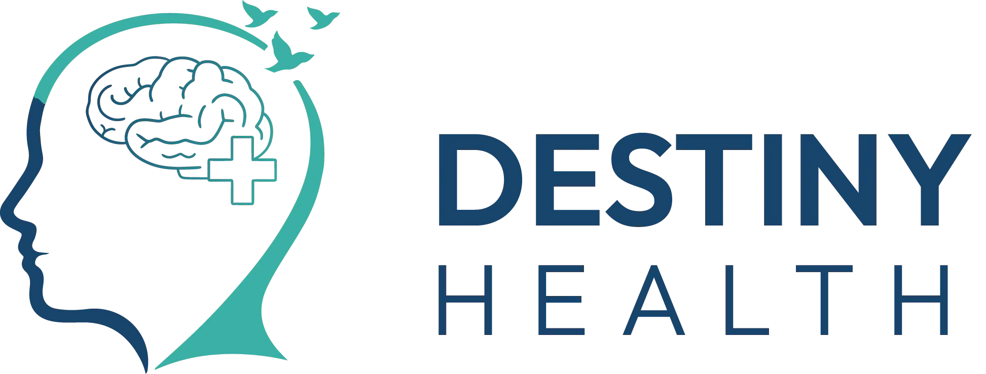 Destiny Health Logo